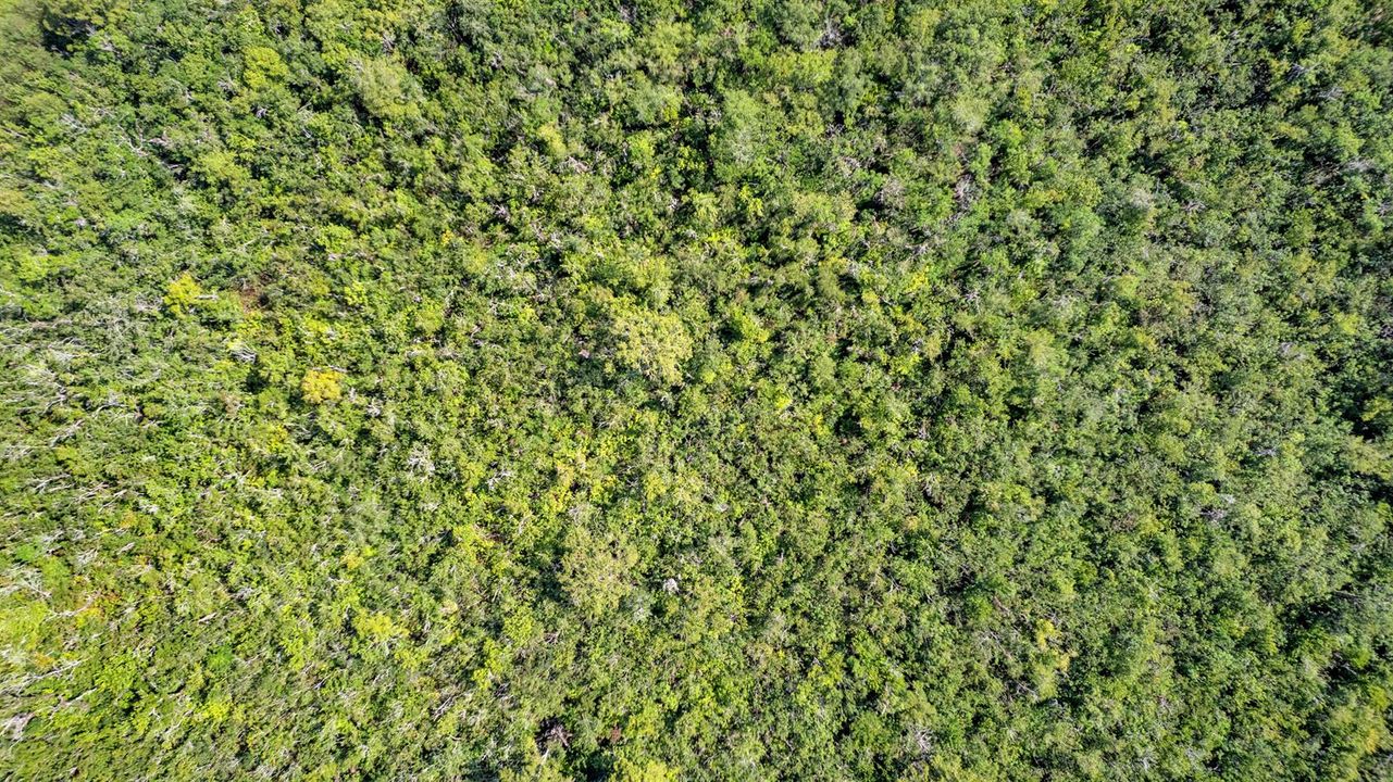 DJI_0023