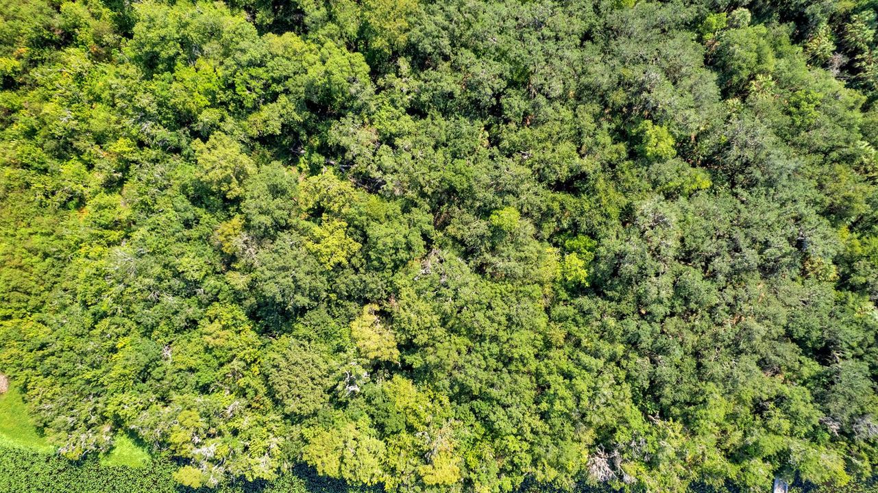 DJI_0017