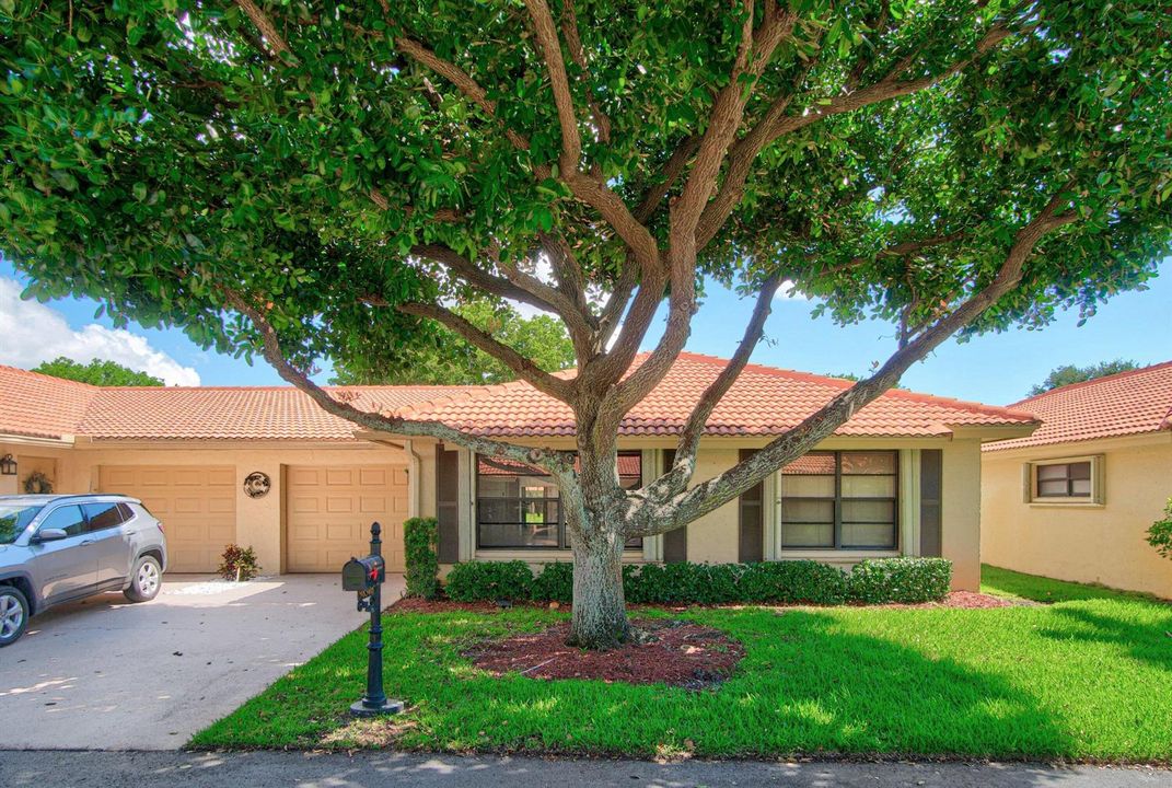 001-9830BischofiaTreeWay-B-BoyntonBeach-