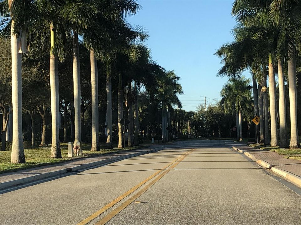 MAIN ROAD