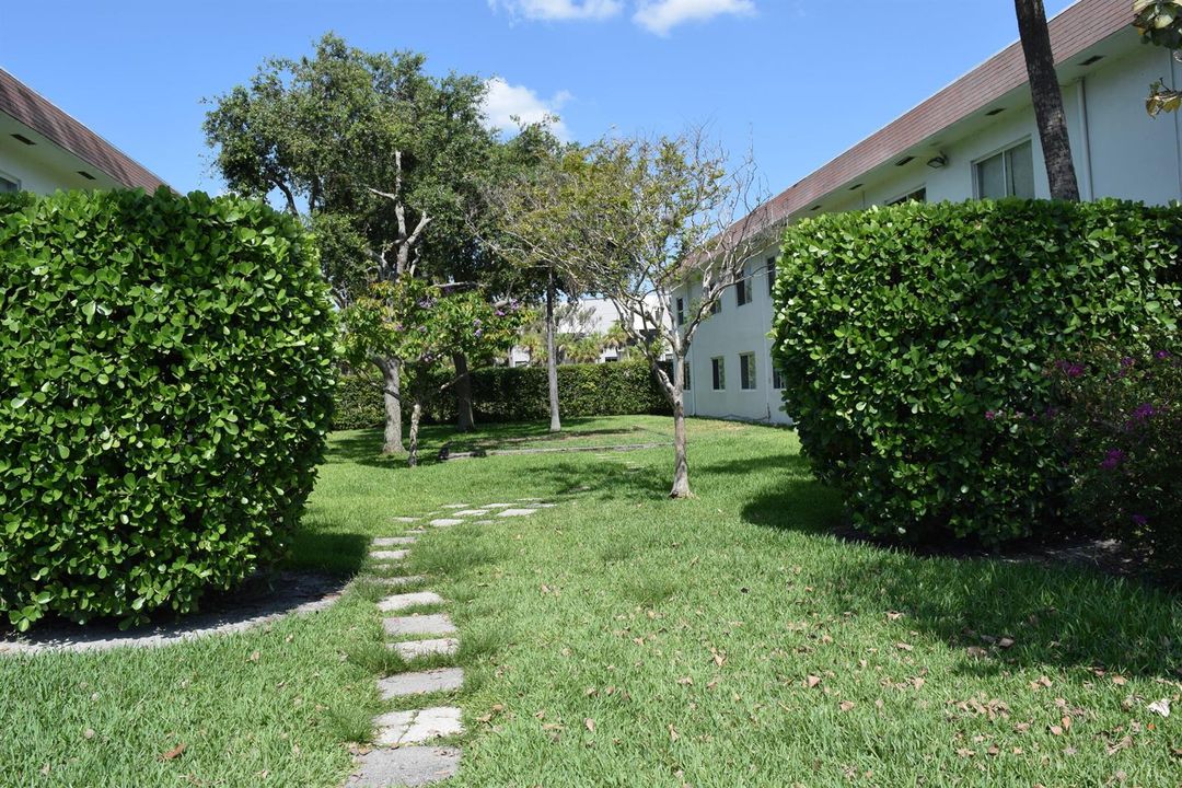 Grassy Area