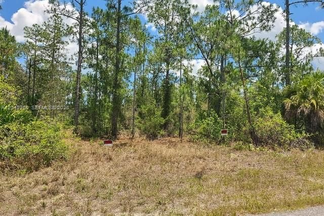 Vendido Recientemente: $31,000 (21,780.00 acres)