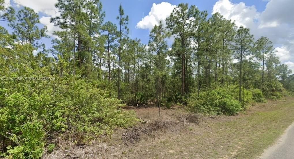 Vendido Recientemente: $31,000 (21,780.00 acres)