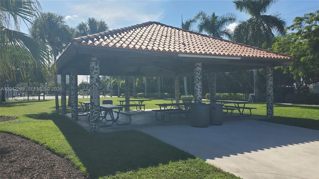 Picnic & Barbecues