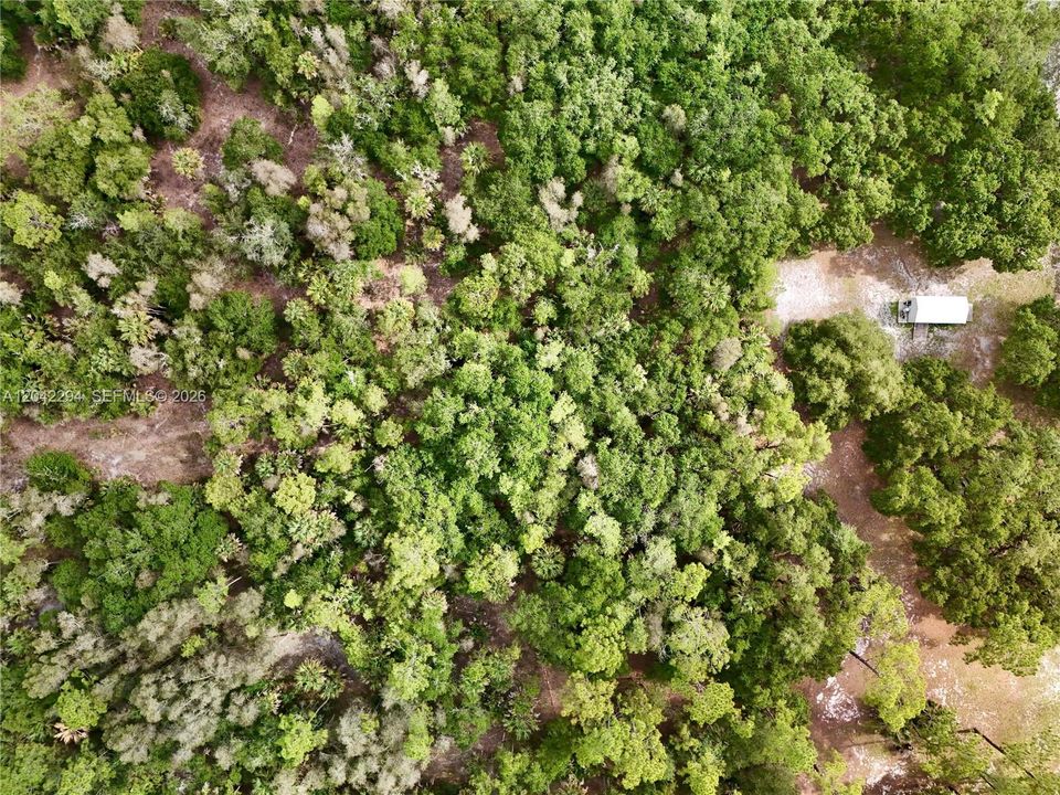 En Venta: $215,000 (2.50 acres)
