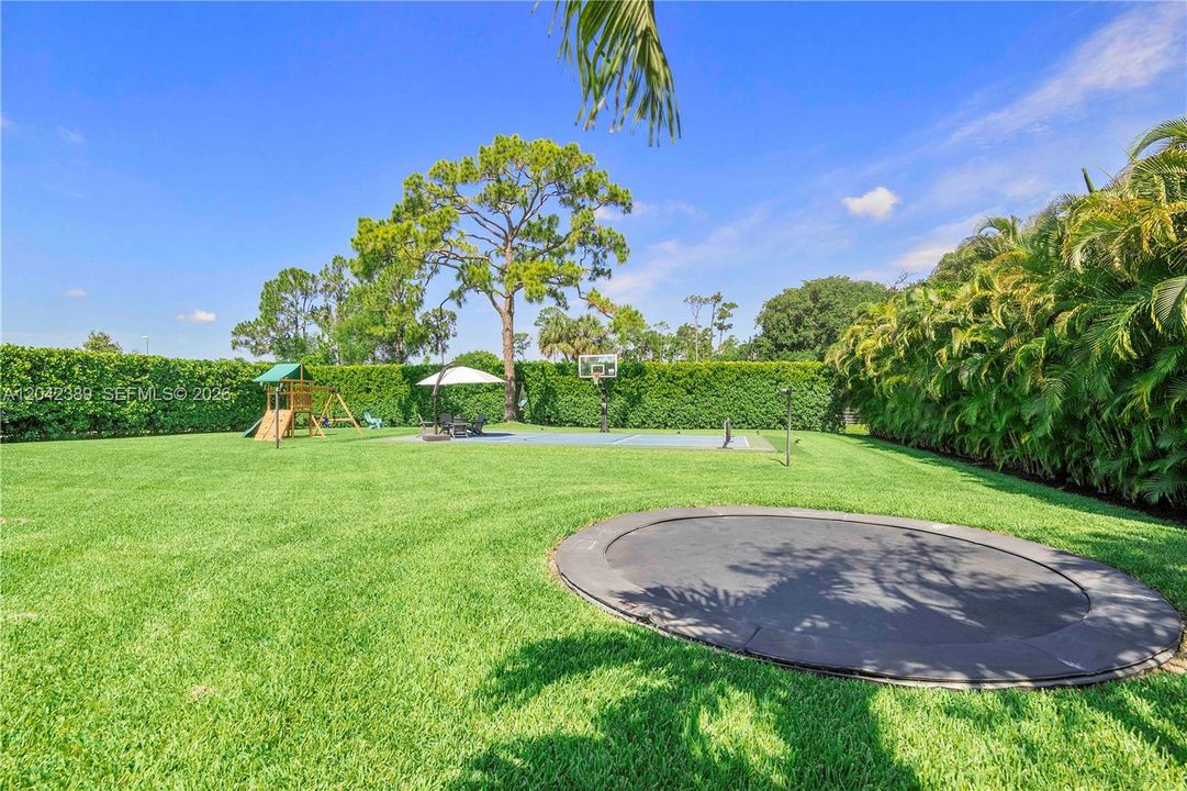 Back Yard Trampoline