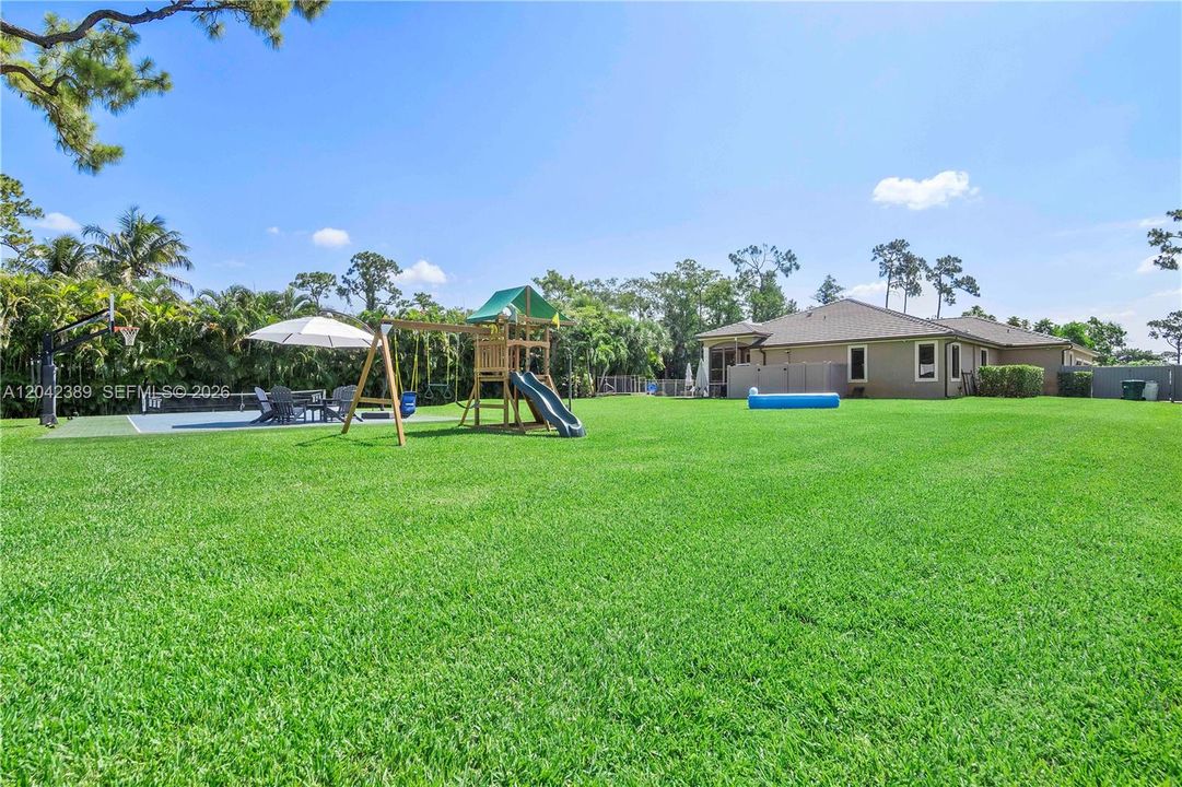 Full Backyard