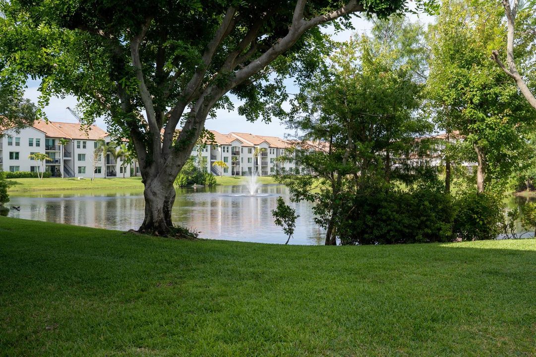 POND