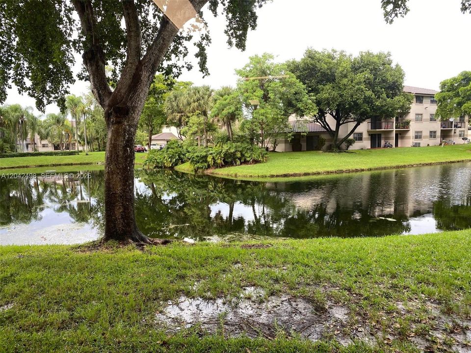 For Rent: $2,300 (2 beds, 2 baths, 986 Square Feet)