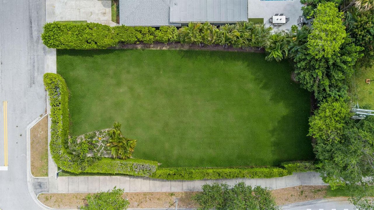 Virtual Aerial