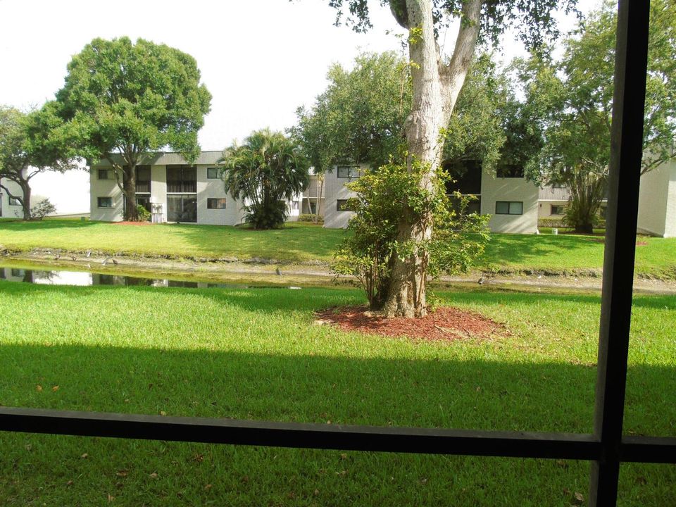 DSC05618 2