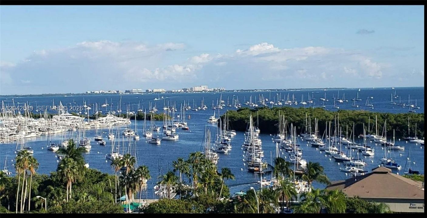 Coconut Grove Sailboat Harbor, Short Walk From Home