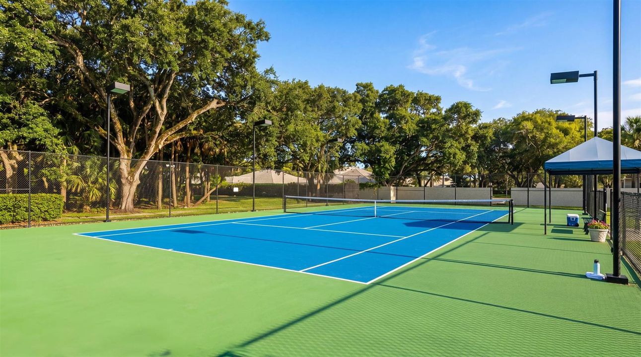 Pickleball Court