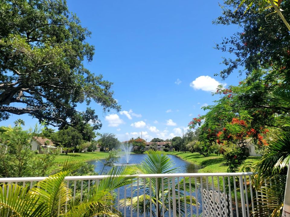 Pool Area View