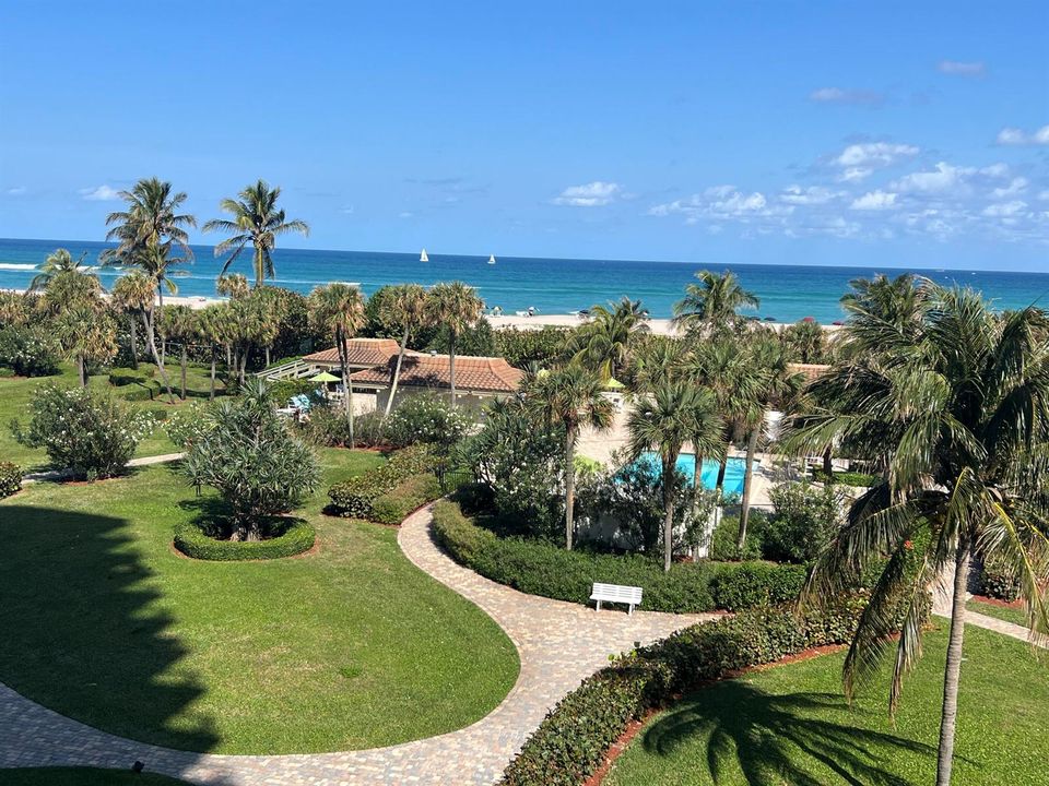 Oceantree Ocean & Grounds
