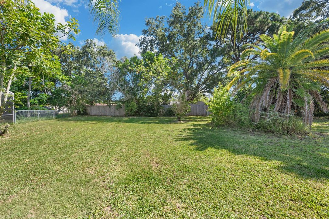 Back Yard