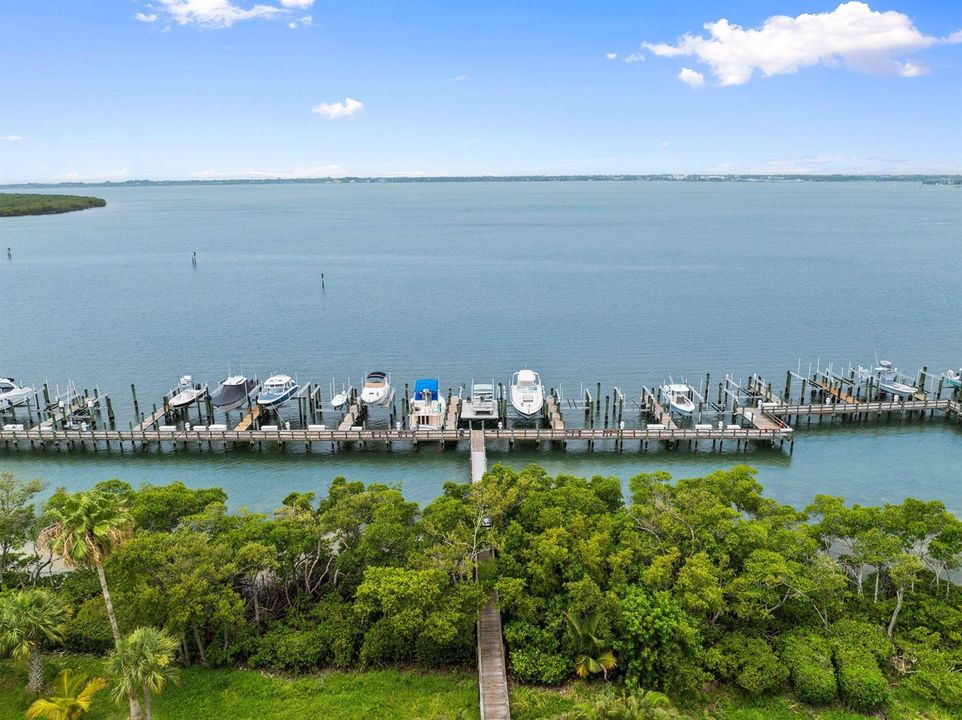 Aerial View of Indian River