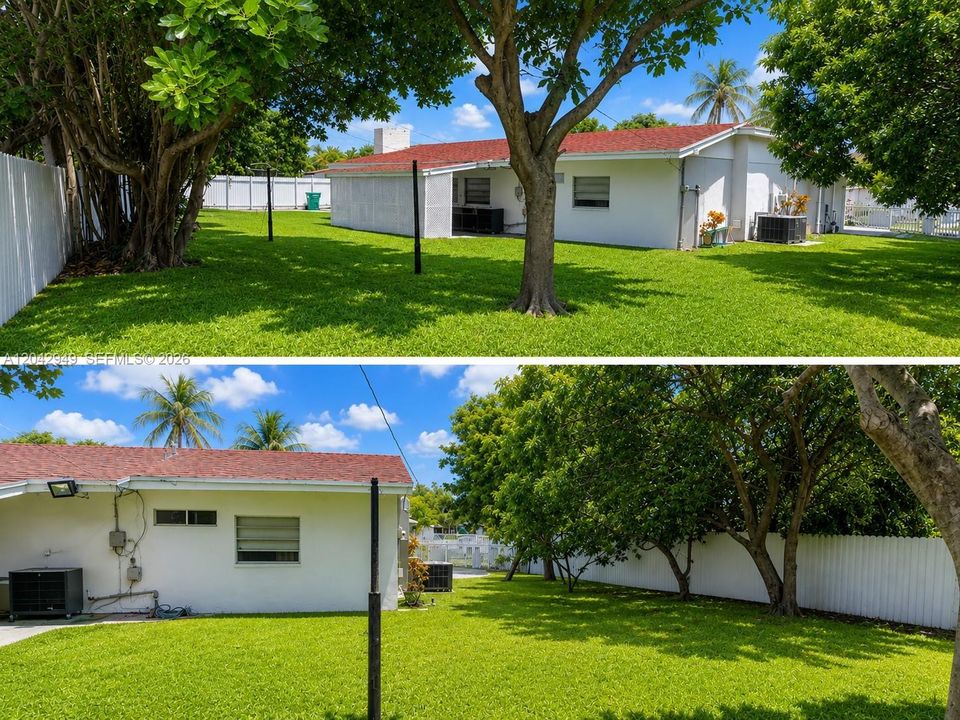 Expansive fenced backyard featuring mature shade trees and a mango tree, offering plenty of space to relax, entertain, or enjoy outdoor living.