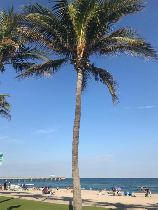 Beach 2