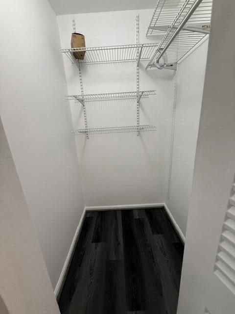 Master Suite #2 Walk-in Closet