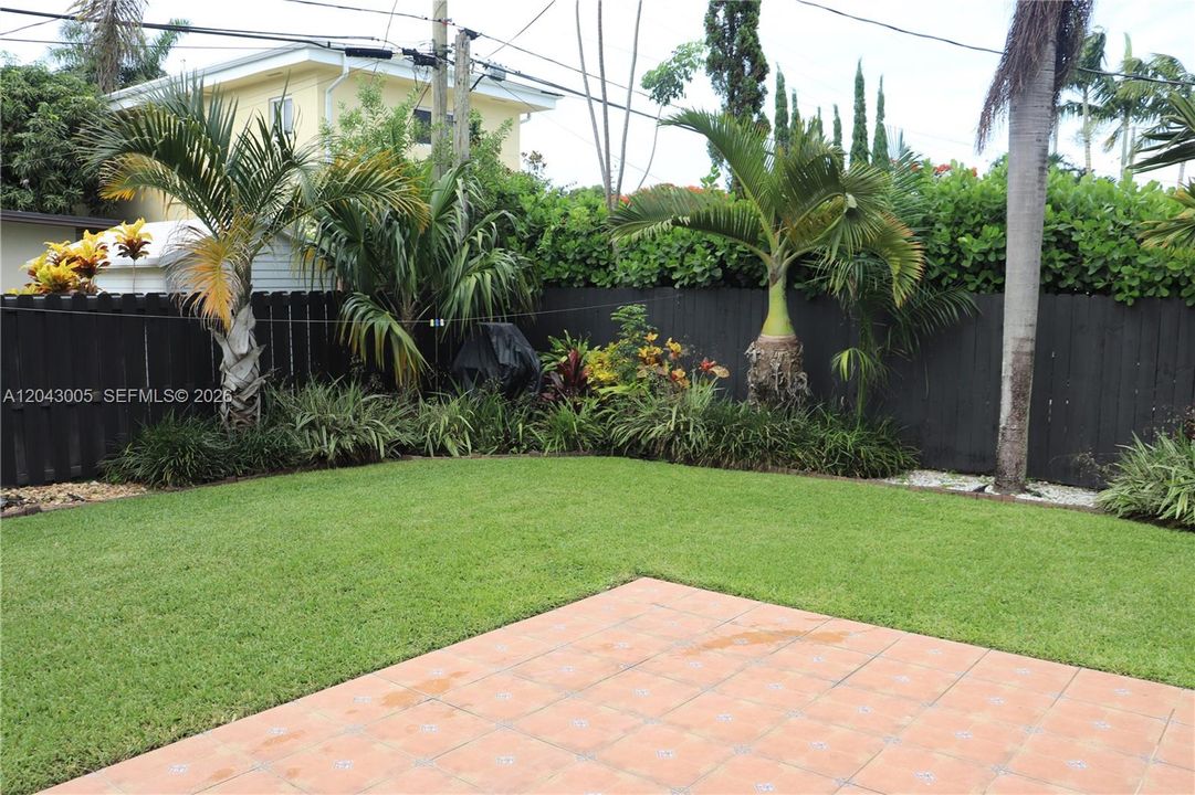 Back Yard