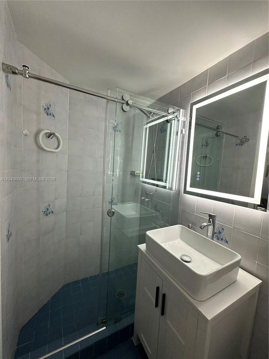 Blue/Grey Bathroom 2