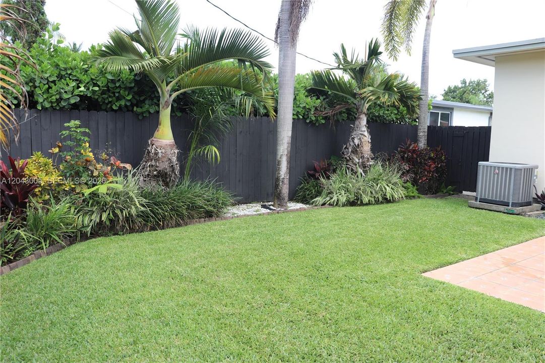 Back Yard