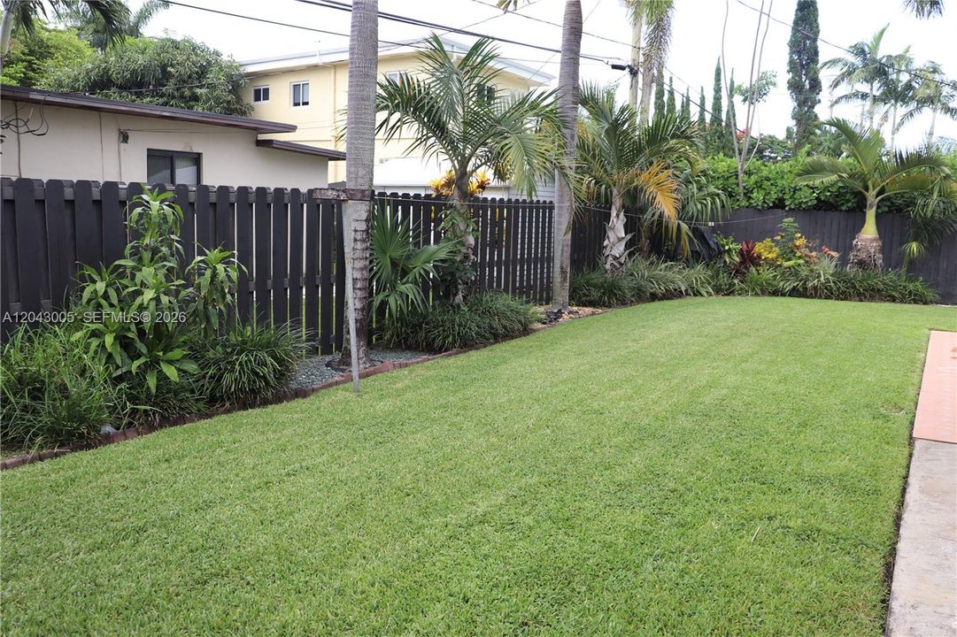 Back Yard