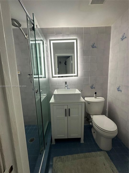 Blue/Grey Bathroom 1