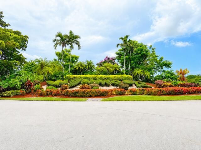 wynmoor bushes