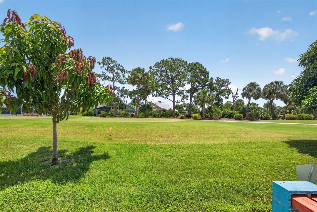 42-web-or-mls-5D1A7742