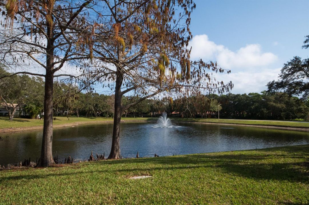 204 Silverleaf Oak Court-20