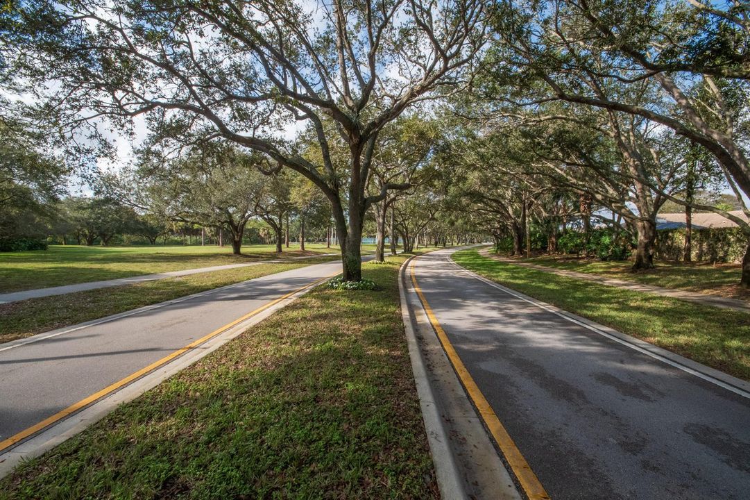 204 Silverleaf Oak Court-21