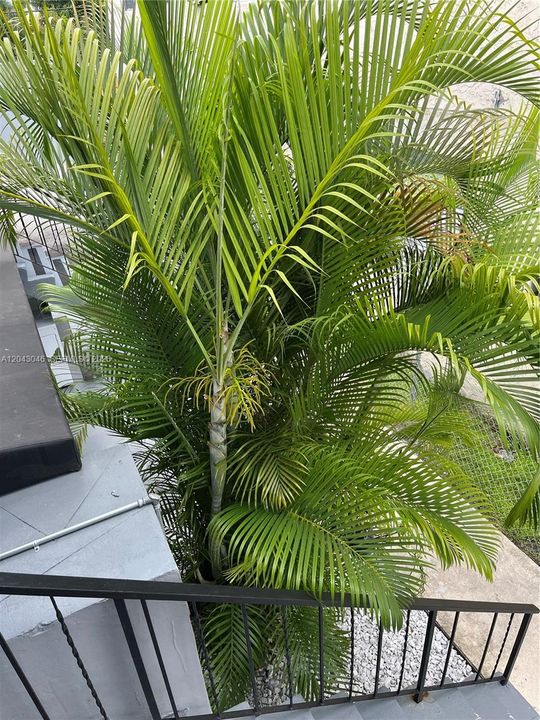 En Renta: $2,500 (2 camas, 1 baños, 4152 Pies cuadrados)