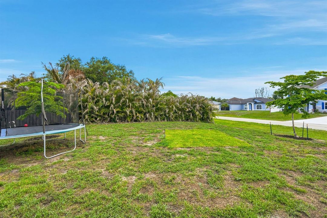 Backyard