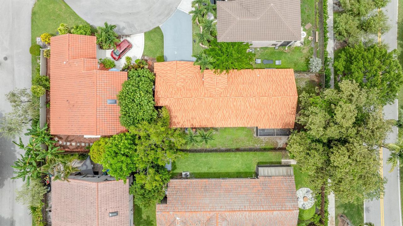 DJI_0296