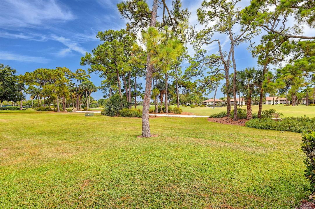42-web-or-mls-5P1A2480