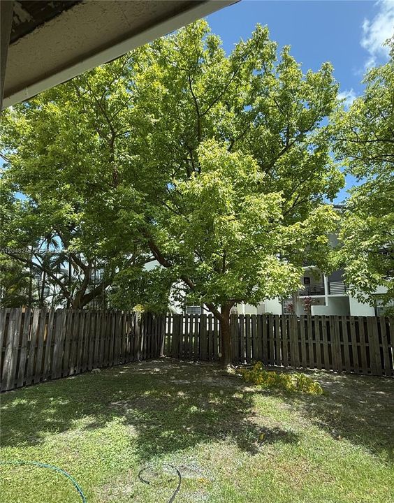 For Rent: $3,850 (3 beds, 2 baths, 1596 Square Feet)