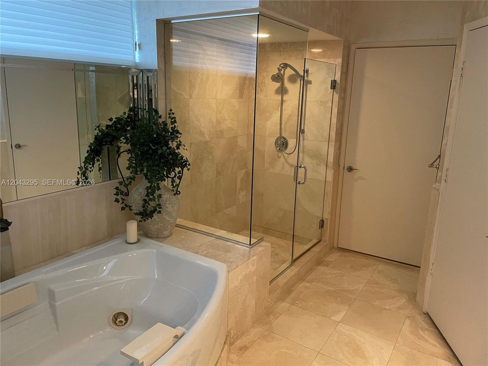 Primary Bathroom Jacuzzi Tub