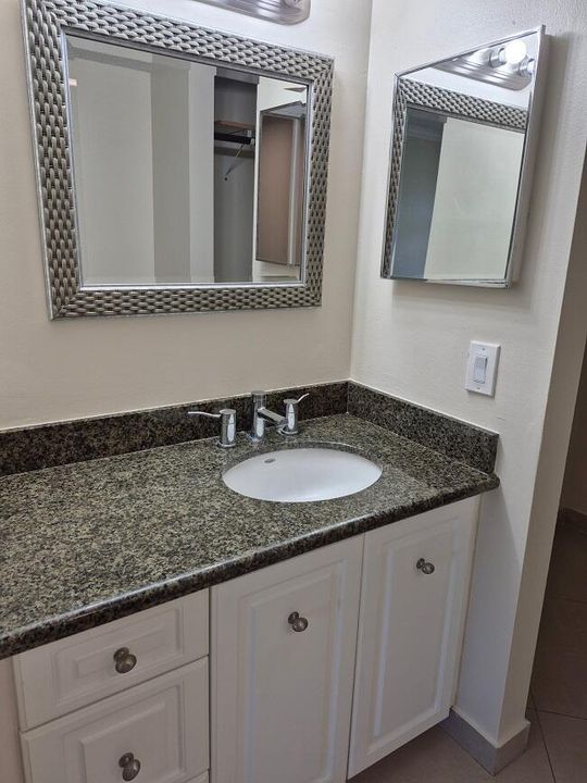 Master Bathroom Vanity
