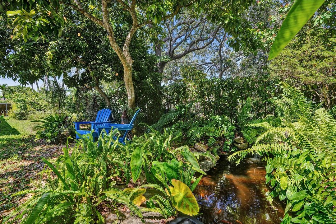Fishpond feature