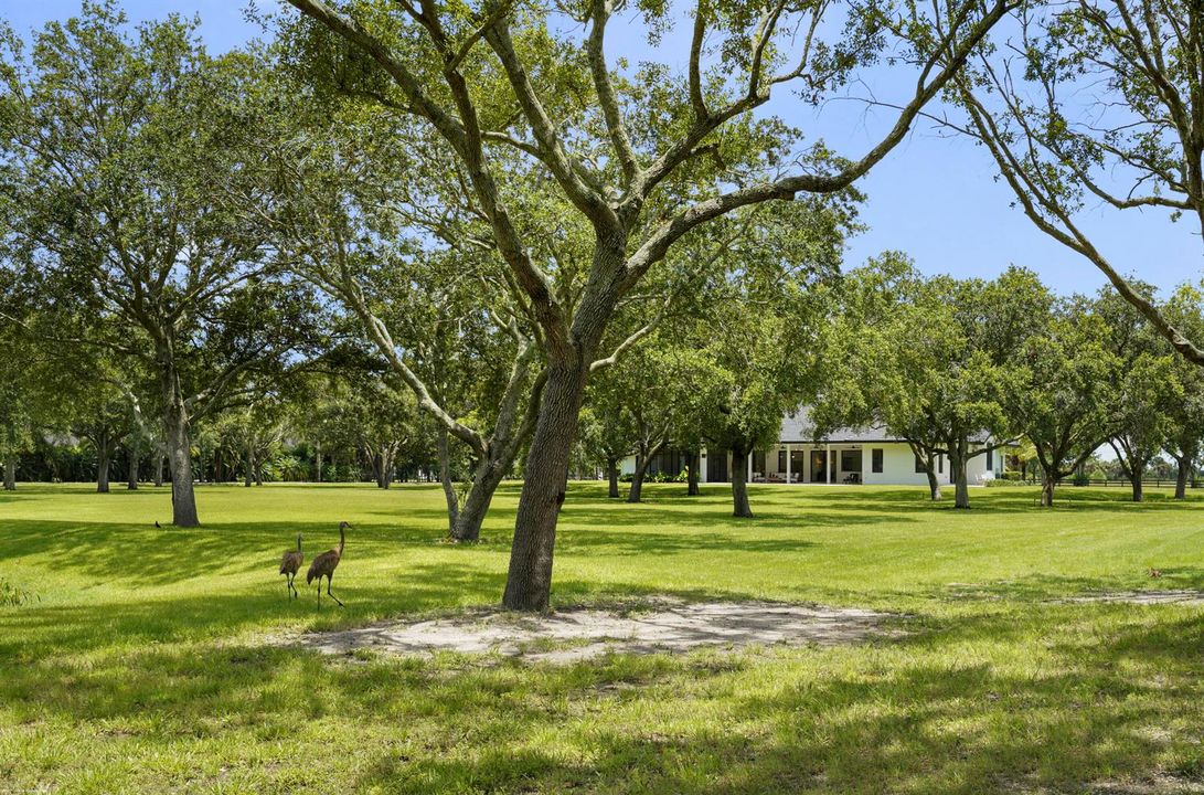16451 Norris Rd 082
