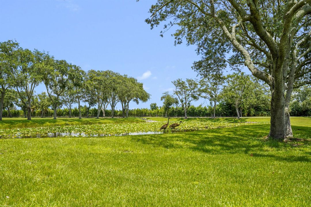 16451 Norris Rd 095
