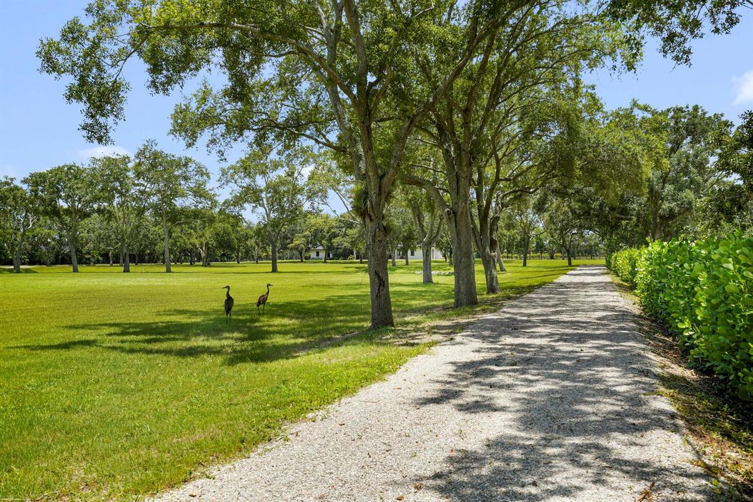 16451 Norris Rd 087