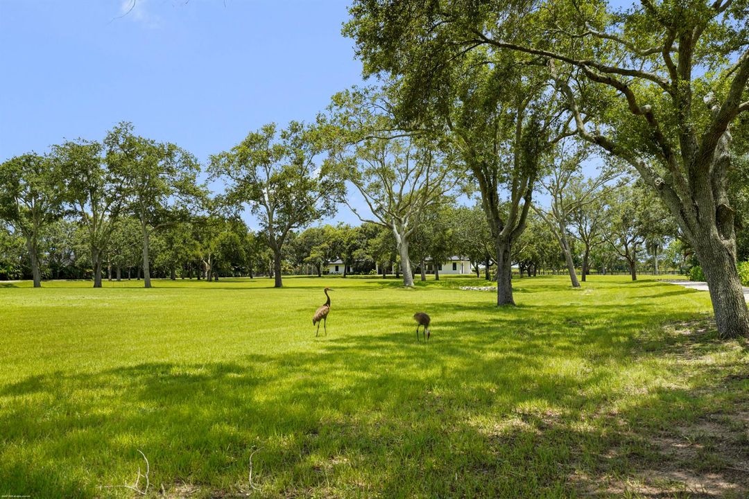 16451 Norris Rd 083