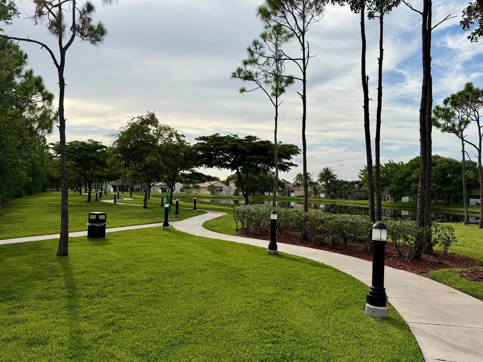 Walking paths