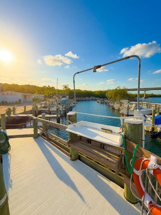 sunny marina 6