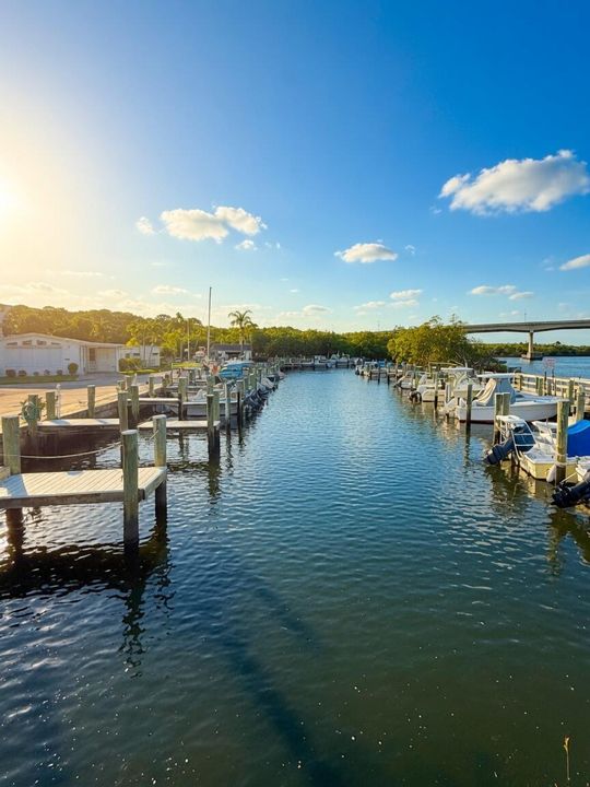 sunny marina 4