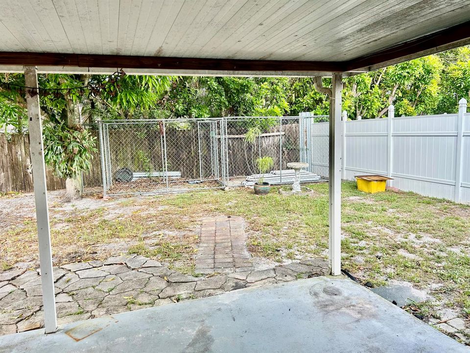 Backyard