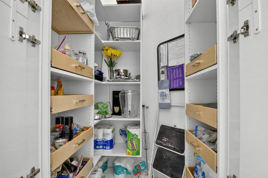 Walk-In Pantry with Storage System